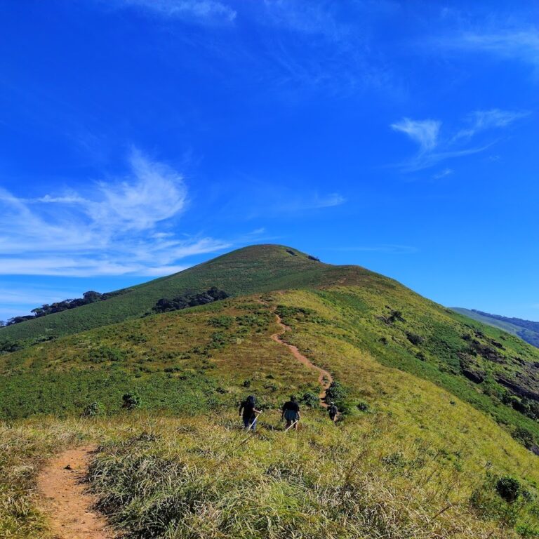 Brahmagiri Hills